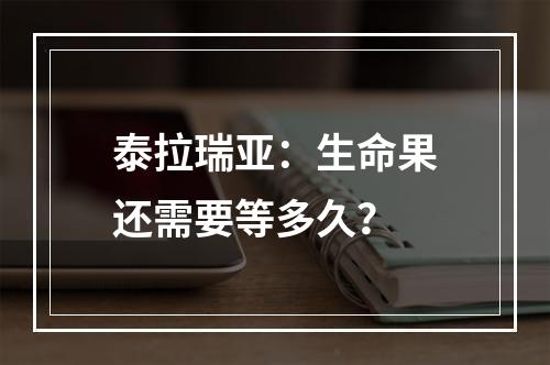 泰拉瑞亚：生命果还需要等多久？