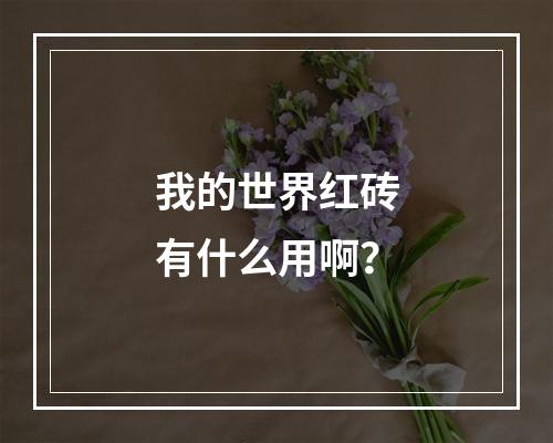 我的世界红砖有什么用啊？