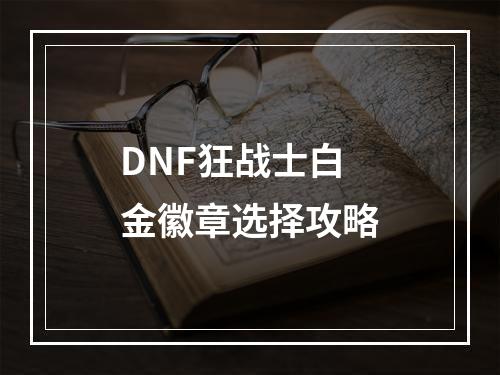 DNF狂战士白金徽章选择攻略