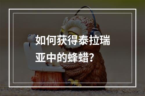 如何获得泰拉瑞亚中的蜂蜡？