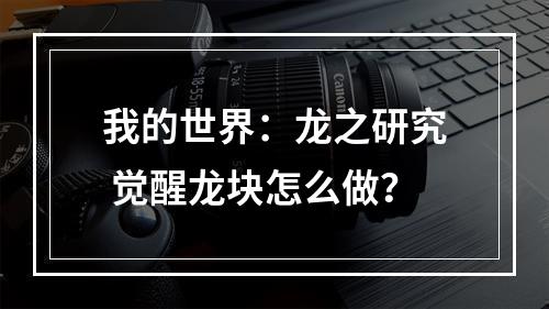 我的世界：龙之研究 觉醒龙块怎么做？