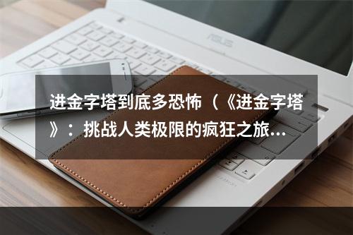 进金字塔到底多恐怖（《进金字塔》：挑战人类极限的疯狂之旅）