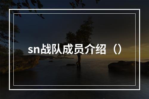 sn战队成员介绍（）