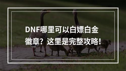 DNF哪里可以白嫖白金徽章？这里是完整攻略！