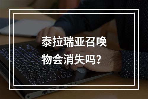 泰拉瑞亚召唤物会消失吗？