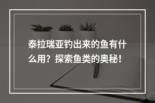 泰拉瑞亚钓出来的鱼有什么用？探索鱼类的奥秘！