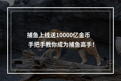 捕鱼上线送10000亿金币  手把手教你成为捕鱼高手！