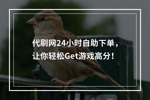 代刷网24小时自助下单，让你轻松Get游戏高分！