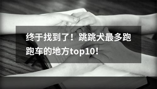 终于找到了！跳跳犬最多跑跑车的地方top10！