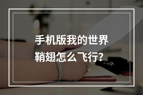 手机版我的世界鞘翅怎么飞行？