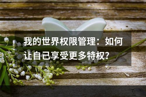 我的世界权限管理：如何让自己享受更多特权？