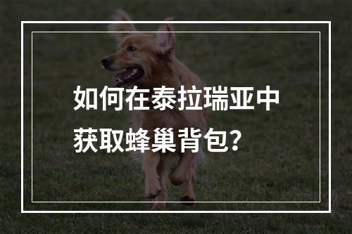 如何在泰拉瑞亚中获取蜂巢背包？