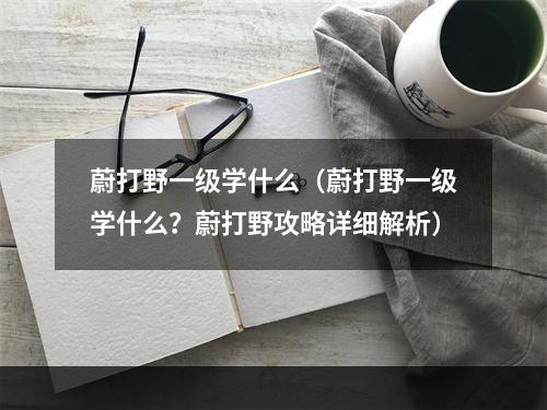 蔚打野一级学什么（蔚打野一级学什么？蔚打野攻略详细解析）