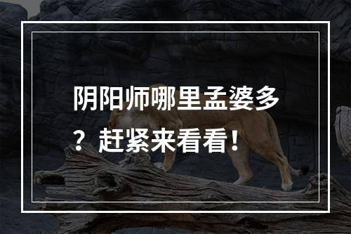 阴阳师哪里孟婆多？赶紧来看看！