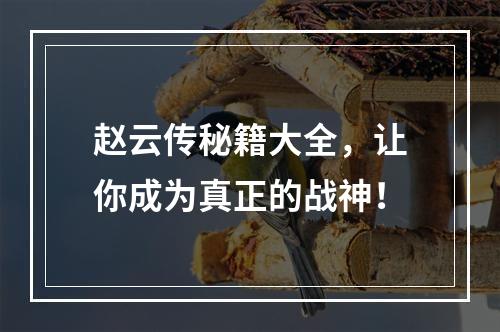 赵云传秘籍大全，让你成为真正的战神！