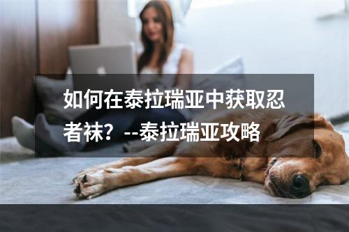 如何在泰拉瑞亚中获取忍者袜？--泰拉瑞亚攻略