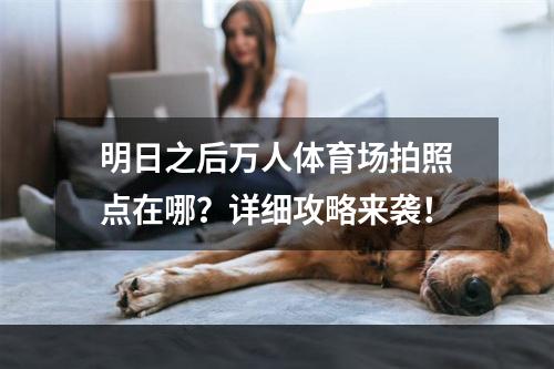 明日之后万人体育场拍照点在哪？详细攻略来袭！