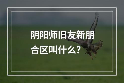 阴阳师旧友新朋合区叫什么？