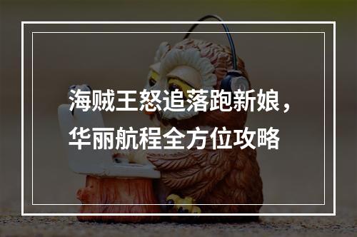 海贼王怒追落跑新娘，华丽航程全方位攻略