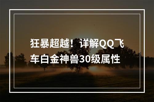 狂暴超越！详解QQ飞车白金神兽30级属性