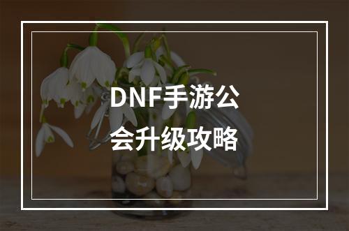 DNF手游公会升级攻略