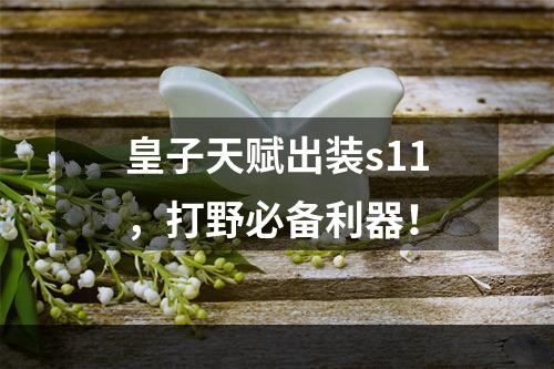 皇子天赋出装s11，打野必备利器！