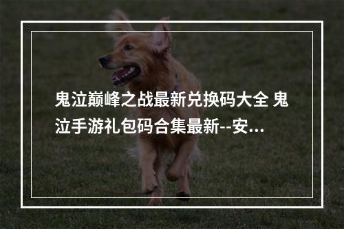 鬼泣巅峰之战最新兑换码大全 鬼泣手游礼包码合集最新--安卓攻略网