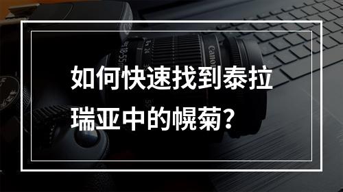 如何快速找到泰拉瑞亚中的幌菊？