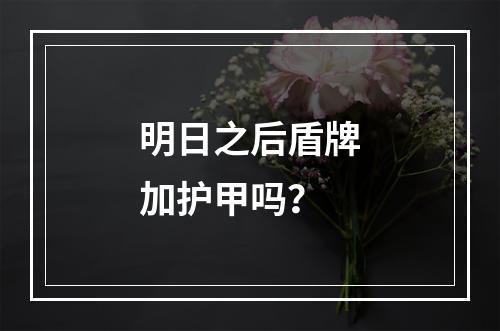 明日之后盾牌加护甲吗？