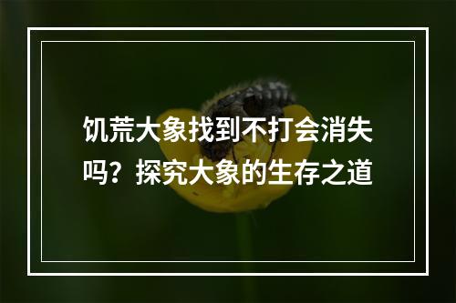 饥荒大象找到不打会消失吗？探究大象的生存之道