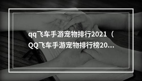 qq飞车手游宠物排行2021（QQ飞车手游宠物排行榜2021揭晓，你的宠物上榜了吗？）