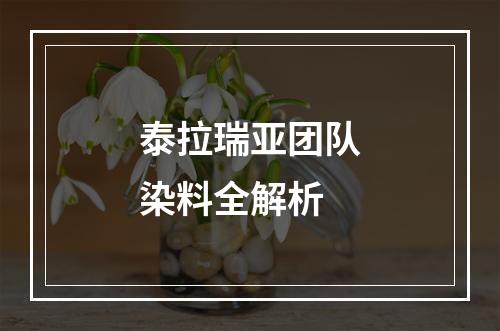 泰拉瑞亚团队染料全解析