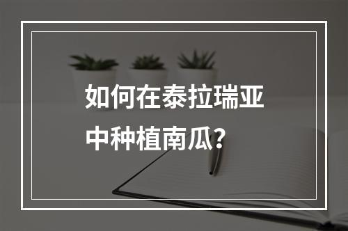 如何在泰拉瑞亚中种植南瓜？