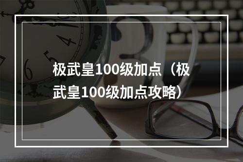 极武皇100级加点（极武皇100级加点攻略）