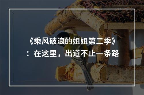 《乘风破浪的姐姐第二季》：在这里，出道不止一条路