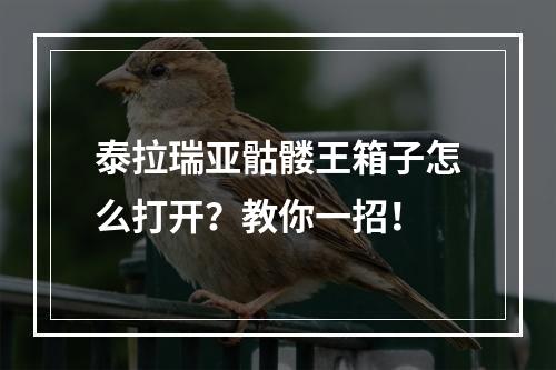 泰拉瑞亚骷髅王箱子怎么打开？教你一招！