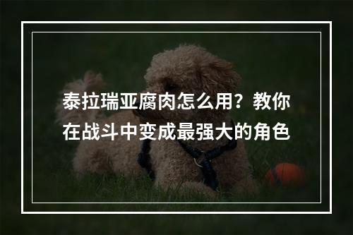 泰拉瑞亚腐肉怎么用？教你在战斗中变成最强大的角色