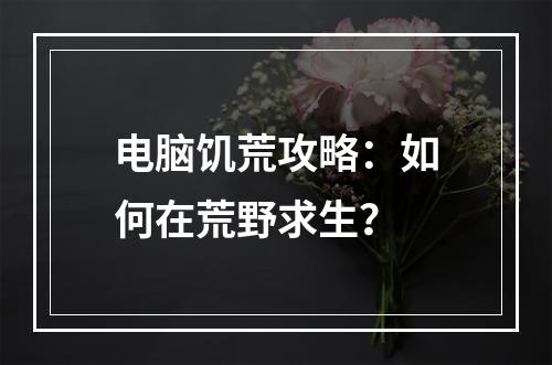 电脑饥荒攻略：如何在荒野求生？