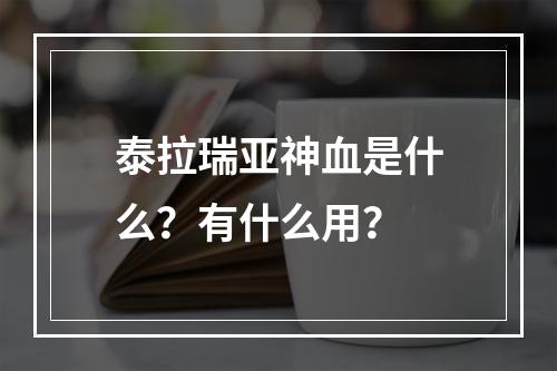 泰拉瑞亚神血是什么？有什么用？