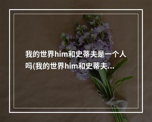 我的世界him和史蒂夫是一个人吗(我的世界him和史蒂夫是一个人吗图片)