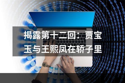 揭露第十二回：贾宝玉与王熙凤在轿子里