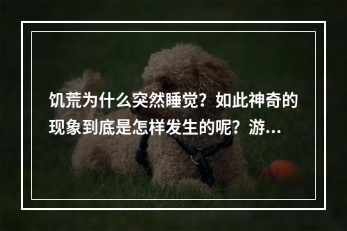 饥荒为什么突然睡觉？如此神奇的现象到底是怎样发生的呢？游戏攻略小编为大家详细解析。