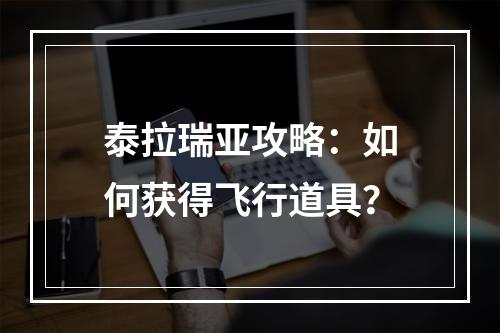 泰拉瑞亚攻略：如何获得飞行道具？