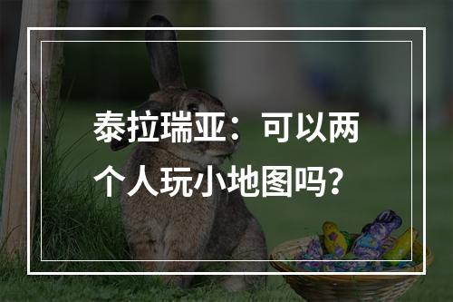 泰拉瑞亚：可以两个人玩小地图吗？