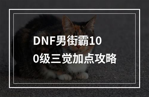 DNF男街霸100级三觉加点攻略