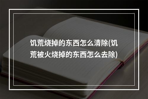 饥荒烧掉的东西怎么清除(饥荒被火烧掉的东西怎么去除)