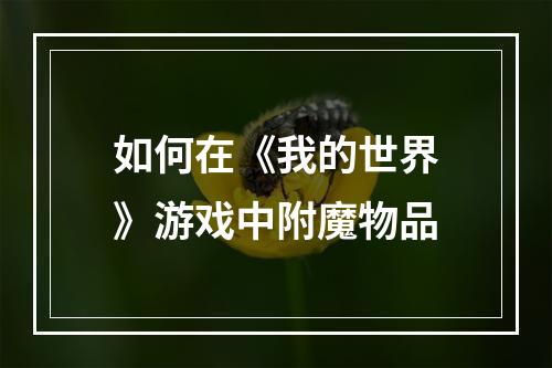 如何在《我的世界》游戏中附魔物品