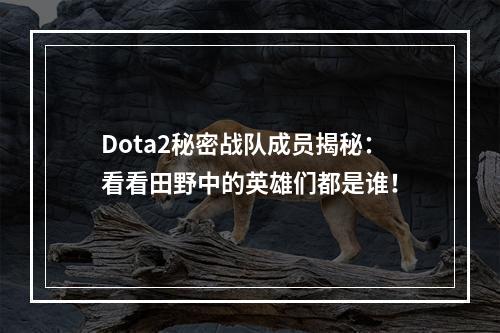 Dota2秘密战队成员揭秘：看看田野中的英雄们都是谁！