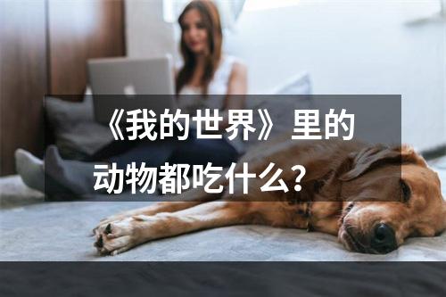 《我的世界》里的动物都吃什么？