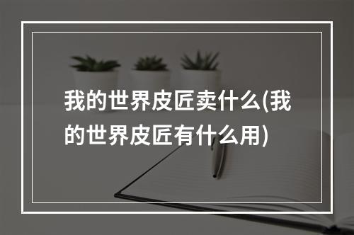 我的世界皮匠卖什么(我的世界皮匠有什么用)